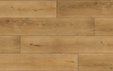 AMARON WOOD CA 147 Dub GEORGETOWN