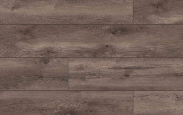LP_ARTEO_CLASSEN_Dub_Grappa_10_0_mm_XL_53749_trieda_33