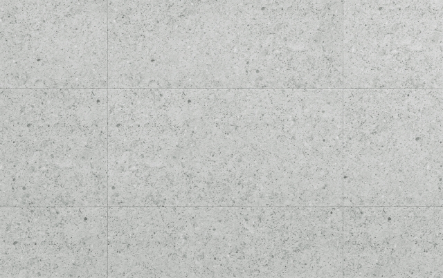 AMARON FORMA CAF 253 AVEIRO SILVER