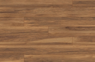 LP Hikora Apalačská 10.0mm trieda 32 (8155)