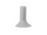 Biela