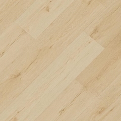 CROCODILE C009 Squad