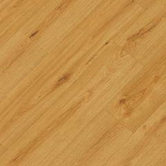 CROCODILE C010 Clapback