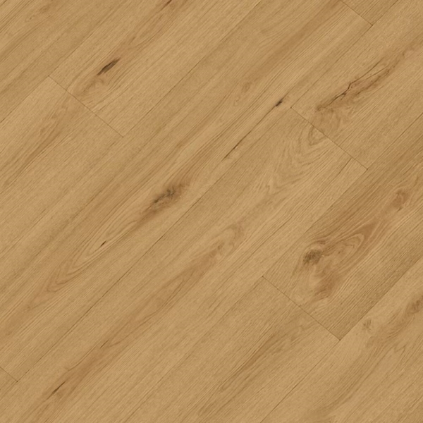 CROCODILE_C007_Highkey