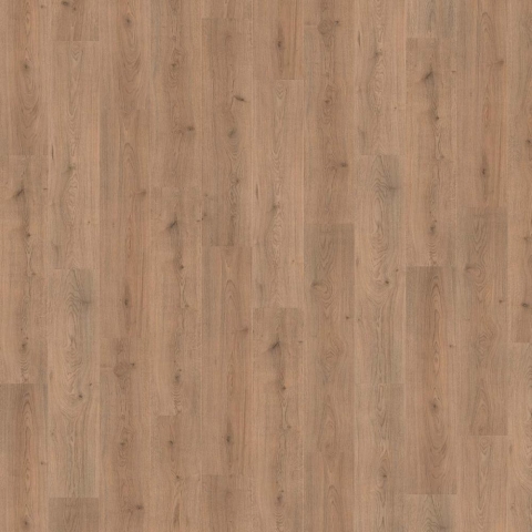 LP Dub brown 8.0mm trieda 32 K (D3128)