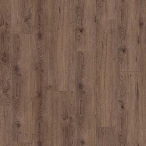 LP Dub brown 8.0mm trieda 32 K (D3531)