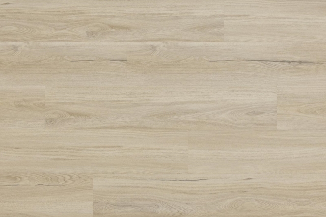 KP WOODRIC  DW 209 Dub Salerno DRY BACK