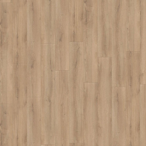 LP Dub letný 8.0mm trieda 32 K (D99392)