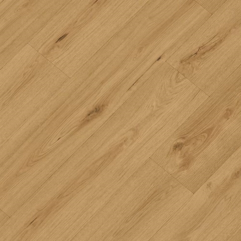 CROCODILE C007 Highkey