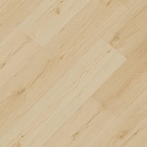 CROCODILE C009 Squad