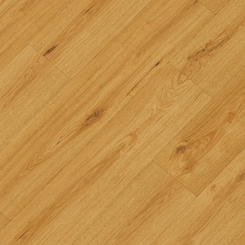 CROCODILE C010 Clapback