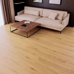 CROCODILE_C007_Highkey