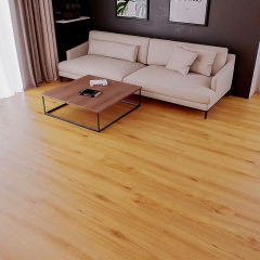 CROCODILE_C010_Clapback