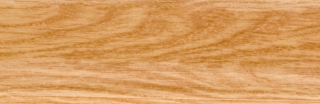 CL009 (L)