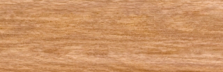 CL010 (S)